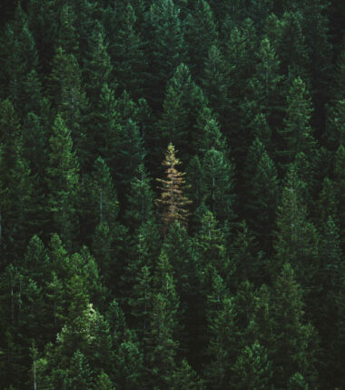 新産業創造VCのアイデンティティ構築