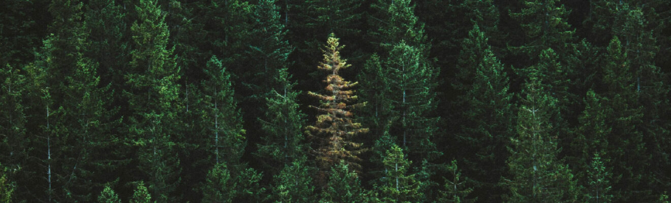 新産業創造VCのアイデンティティ構築